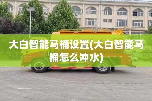 大白智能马桶设置(大白智能马桶怎么冲水)