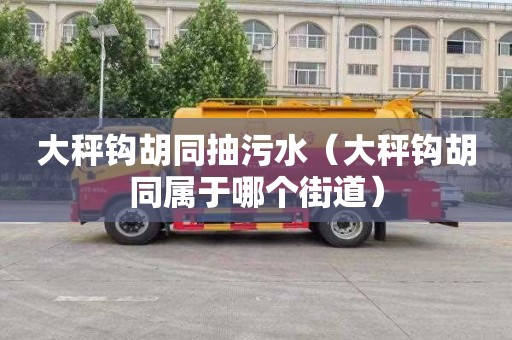 大秤钩胡同抽污水（大秤钩胡同属于哪个街道）