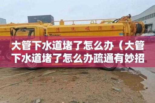 大管下水道堵了怎么办（大管下水道堵了怎么办疏通有妙招）