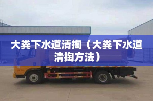 大粪下水道清掏（大粪下水道清掏方法）