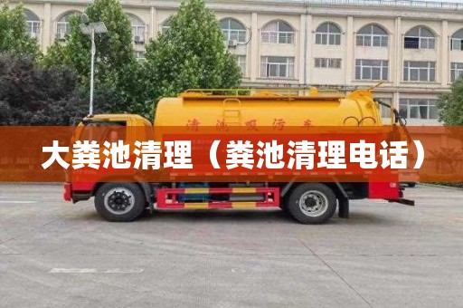 大粪池清理（粪池清理电话）