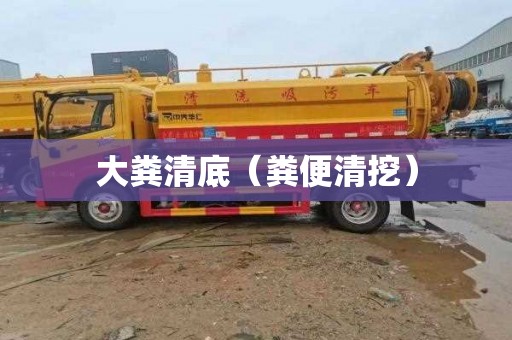 大粪清底（粪便清挖）