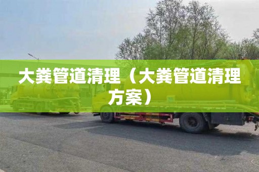 大粪管道清理（大粪管道清理方案）
