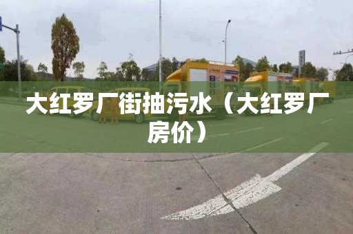 大红罗厂街抽污水（大红罗厂房价）