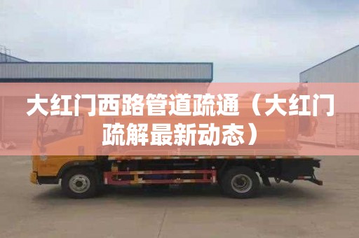 大红门西路管道疏通（大红门疏解最新动态）
