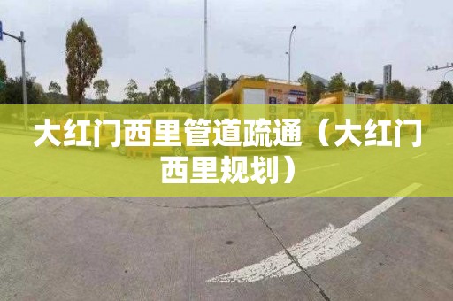 大红门西里管道疏通（大红门西里规划）