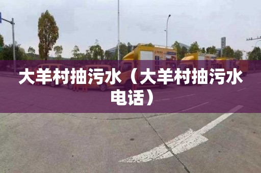 大羊村抽污水（大羊村抽污水电话）