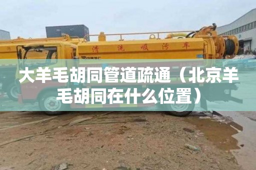 大羊毛胡同管道疏通（北京羊毛胡同在什么位置）