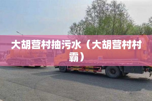 大胡营村抽污水（大胡营村村霸）