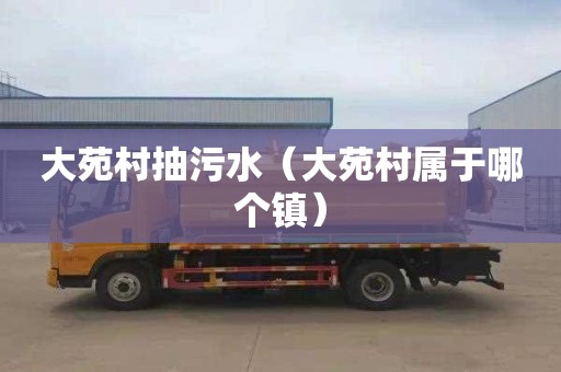 大苑村抽污水（大苑村属于哪个镇）