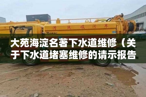 大苑海淀名著下水道维修（关于下水道堵塞维修的请示报告）