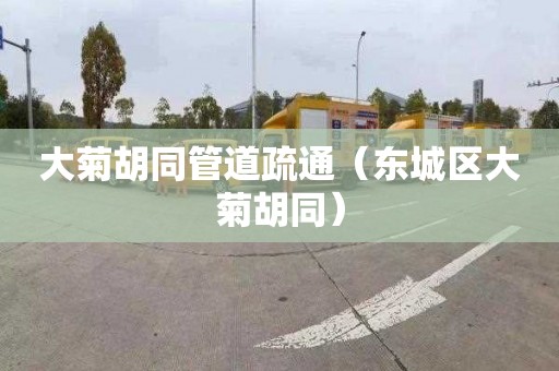 大菊胡同管道疏通（东城区大菊胡同）