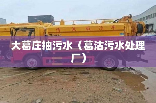 大葛庄抽污水（葛沽污水处理厂）