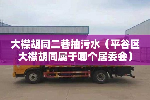大襟胡同二巷抽污水（平谷区大襟胡同属于哪个居委会）