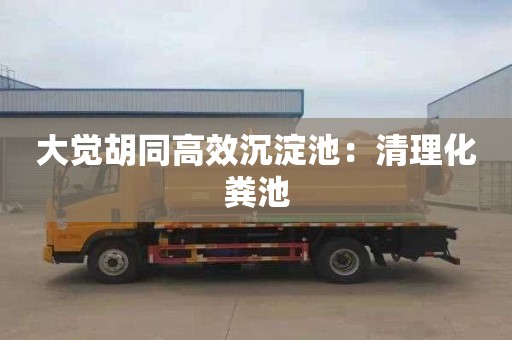 大觉胡同高效沉淀池：清理化粪池