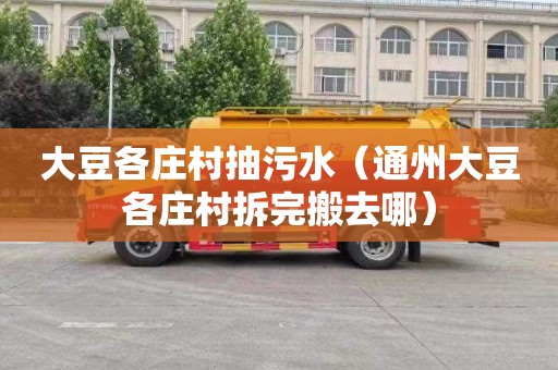 大豆各庄村抽污水（通州大豆各庄村拆完搬去哪）