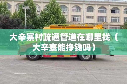 大辛寨村疏通管道在哪里找（大辛寨能挣钱吗）