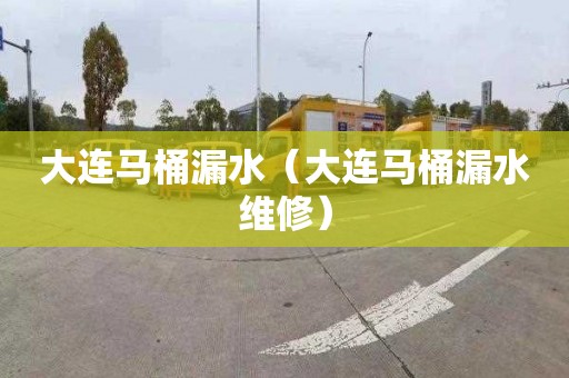 大连马桶漏水（大连马桶漏水维修）