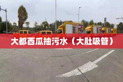 大都西瓜抽污水（大肚吸管）