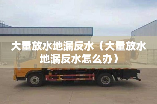 大量放水地漏反水（大量放水地漏反水怎么办）