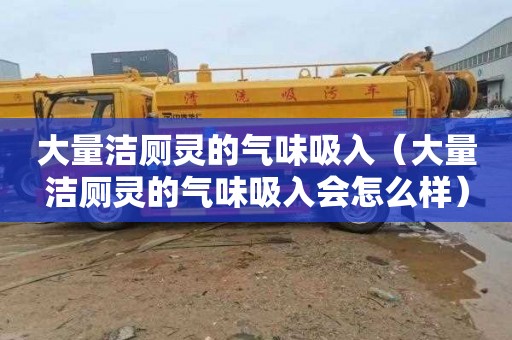 大量洁厕灵的气味吸入（大量洁厕灵的气味吸入会怎么样）