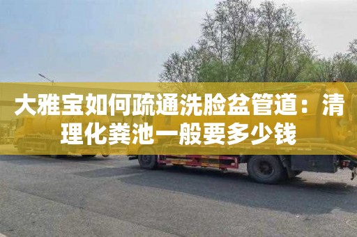 大雅宝如何疏通洗脸盆管道：清理化粪池一般要多少钱