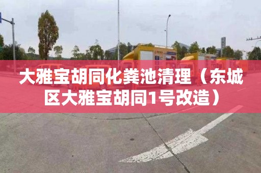 大雅宝胡同化粪池清理（东城区大雅宝胡同1号改造）