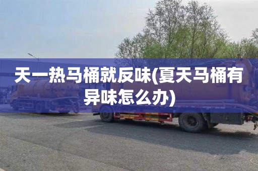 天一热马桶就反味(夏天马桶有异味怎么办)