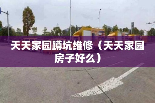 天天家园蹲坑维修（天天家园房子好么）