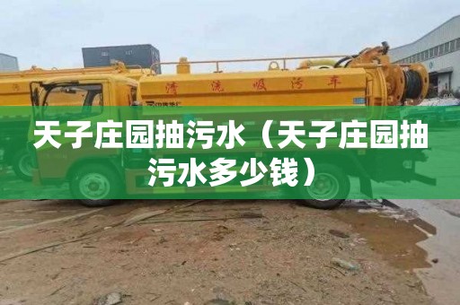 天子庄园抽污水（天子庄园抽污水多少钱）