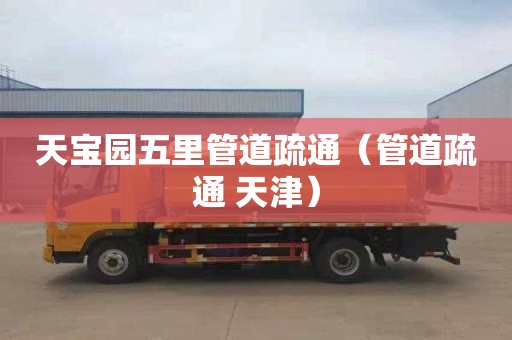 天宝园五里管道疏通（管道疏通 天津）