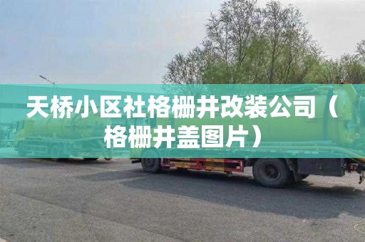 天桥小区社格栅井改装公司（格栅井盖图片）