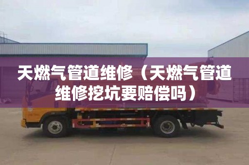 天燃气管道维修（天燃气管道维修挖坑要赔偿吗）