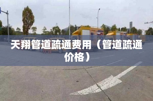 天翔管道疏通费用（管道疏通价格）