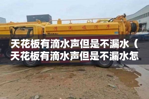 天花板有滴水声但是不漏水（天花板有滴水声但是不漏水怎么回事）
