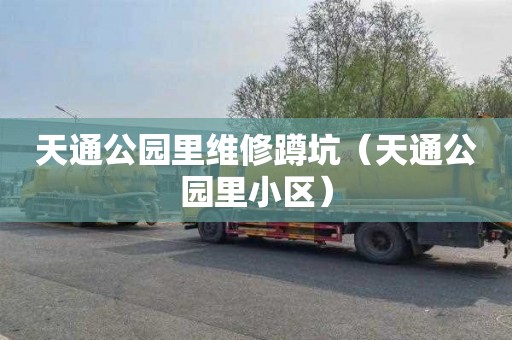天通公园里维修蹲坑（天通公园里小区）