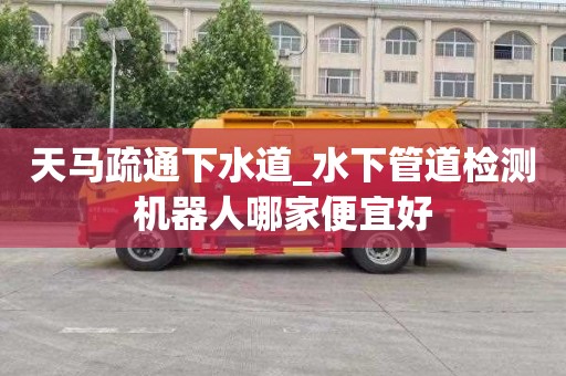 天马疏通下水道_水下管道检测机器人哪家便宜好