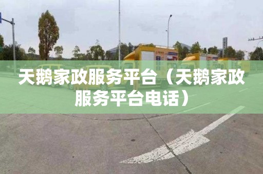 天鹅家政服务平台（天鹅家政服务平台电话）