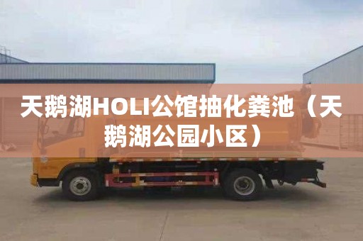 天鹅湖HOLI公馆抽化粪池（天鹅湖公园小区）