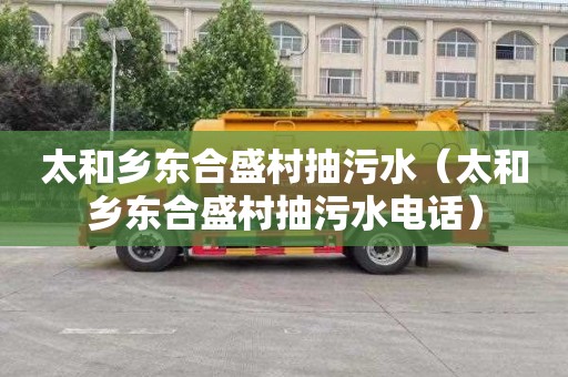 太和乡东合盛村抽污水（太和乡东合盛村抽污水电话）