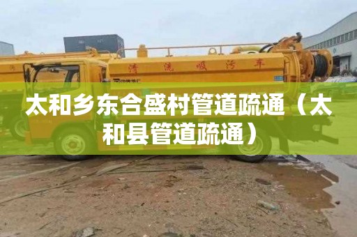 太和乡东合盛村管道疏通（太和县管道疏通）