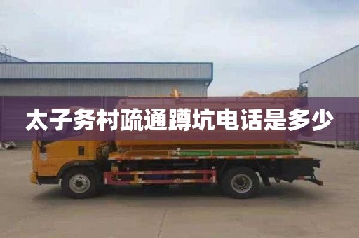 太子务村疏通蹲坑电话是多少