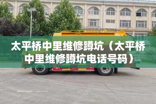太平桥中里维修蹲坑（太平桥中里维修蹲坑电话号码）