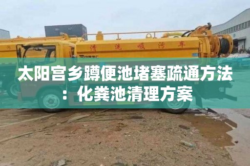 太阳宫乡蹲便池堵塞疏通方法：化粪池清理方案