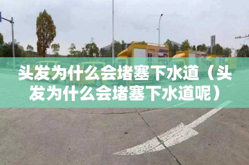 头发为什么会堵塞下水道（头发为什么会堵塞下水道呢）