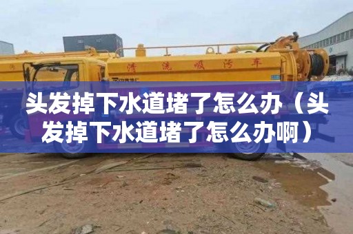 头发掉下水道堵了怎么办（头发掉下水道堵了怎么办啊）