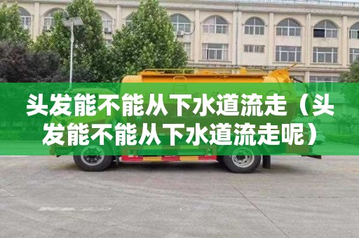 头发能不能从下水道流走（头发能不能从下水道流走呢）