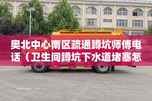 奥北中心南区疏通蹲坑师傅电话（卫生间蹲坑下水道堵塞怎样疏通）