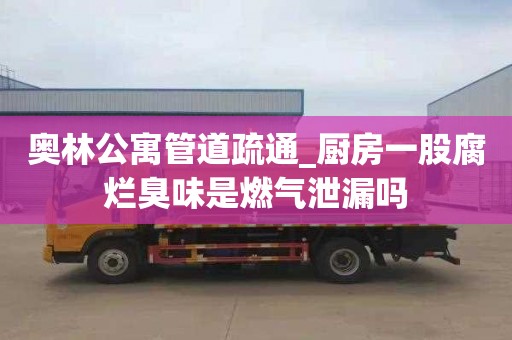 奥林公寓管道疏通_厨房一股腐烂臭味是燃气泄漏吗