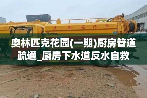 奥林匹克花园(一期)厨房管道疏通_厨房下水道反水自救